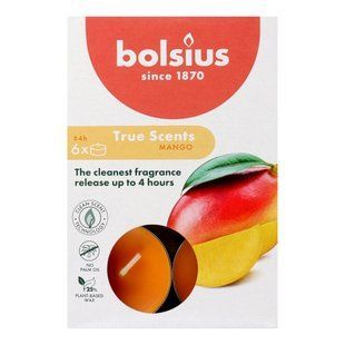 Свічки-таблетки Bolsius 4 год. 6 шт. True Scents, манго арт. 101926941510 1534921 фото